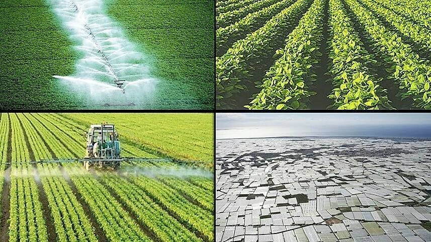 PAC 44.bis|simplificacion PAC|PAC europeo banderas 23